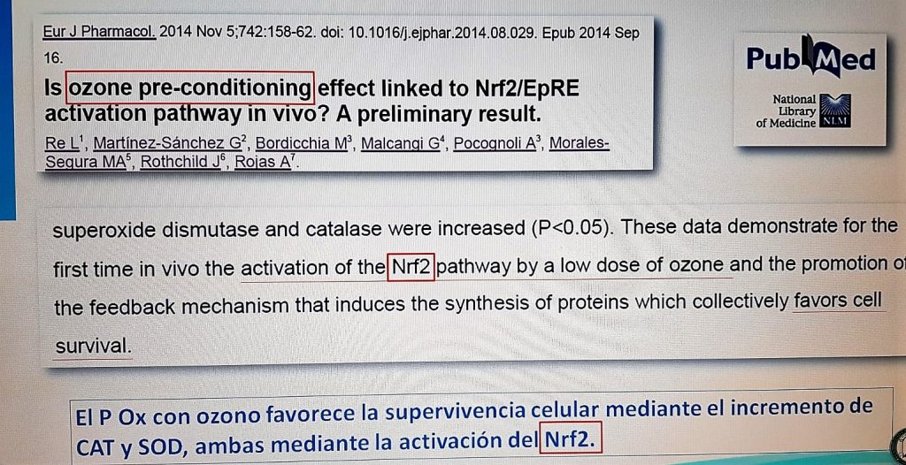 9c41b523-1834-418d-8255-3ffde923affe